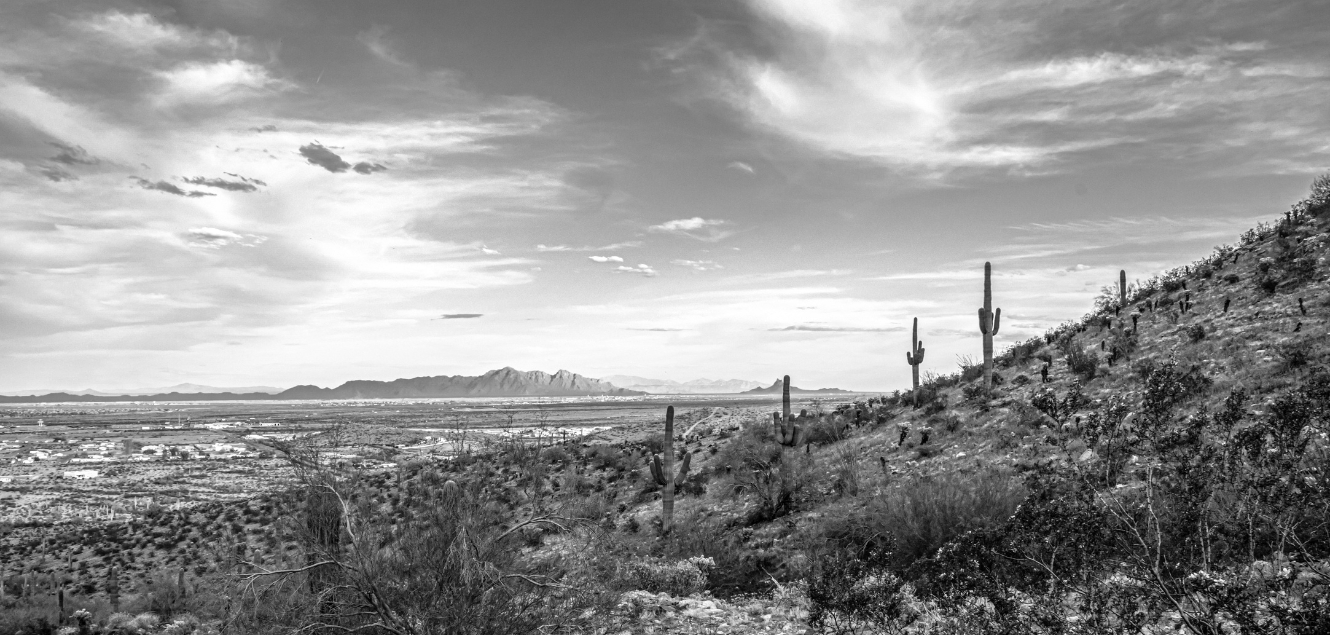Desert Landscape